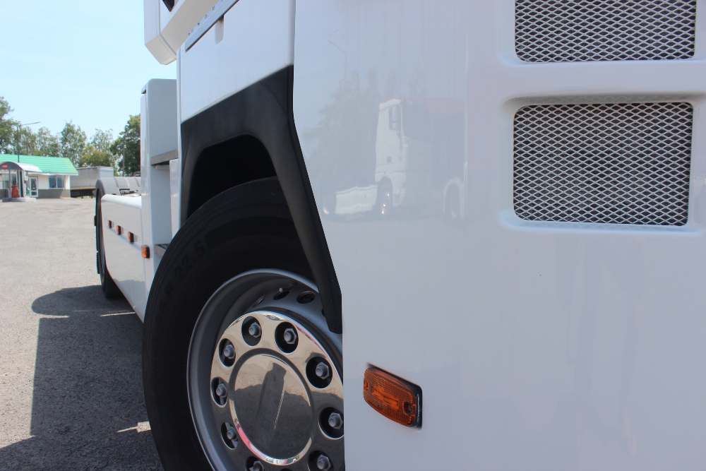 Renault Magnum 2010 Хуст - зображення 7