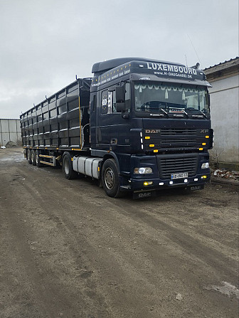 DAF XF 95 2005 Тульчин - зображення 1