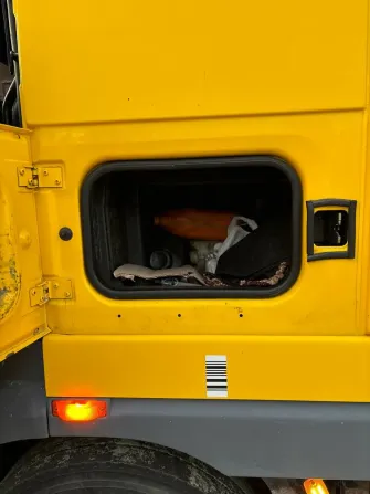 DAF XF 95 2005 Львів - зображення 10