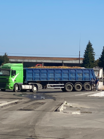 DAF XF 105 2008 Кам'янське