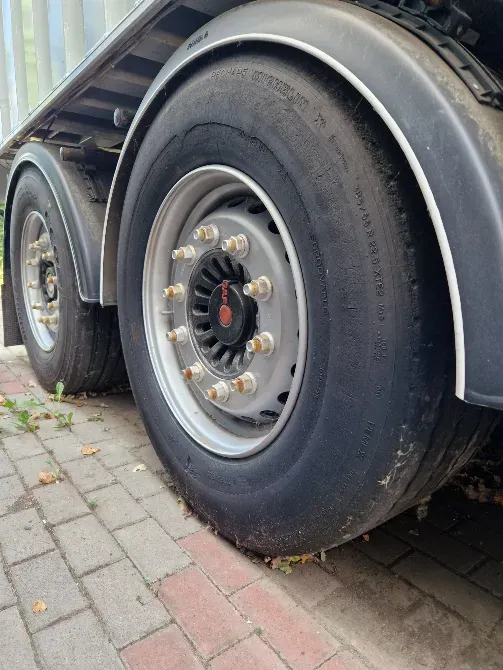 Benalu Benalu 2010 Вінниця - зображення 5