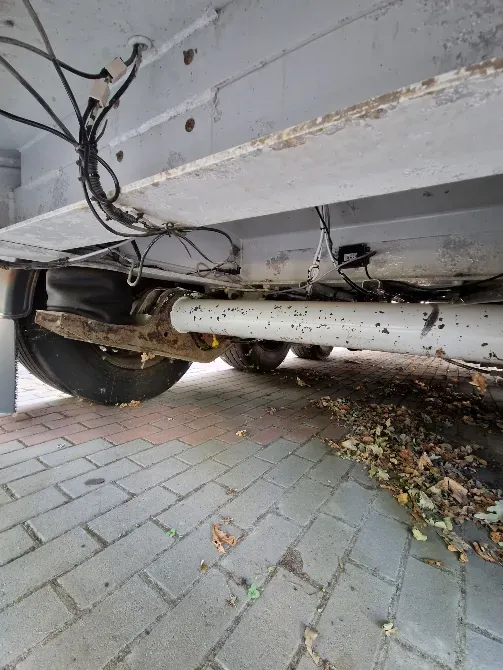 Benalu Benalu 2010 Вінниця - зображення 7