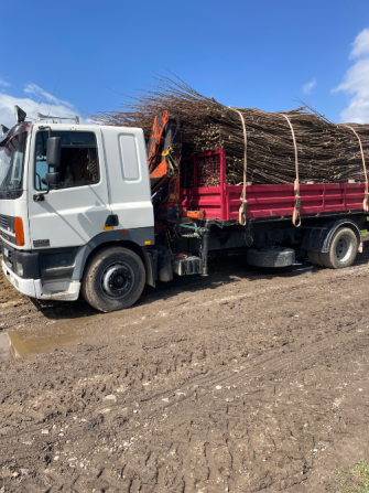 DAF 85 1995 Львів - зображення 9