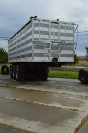 Benalu Bencere 2005 Зміїв