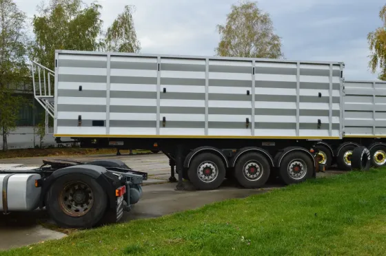 Benalu Bencere 2005 Зміїв