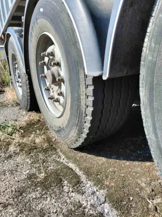 Benalu Benalu 2002 Біла Церква