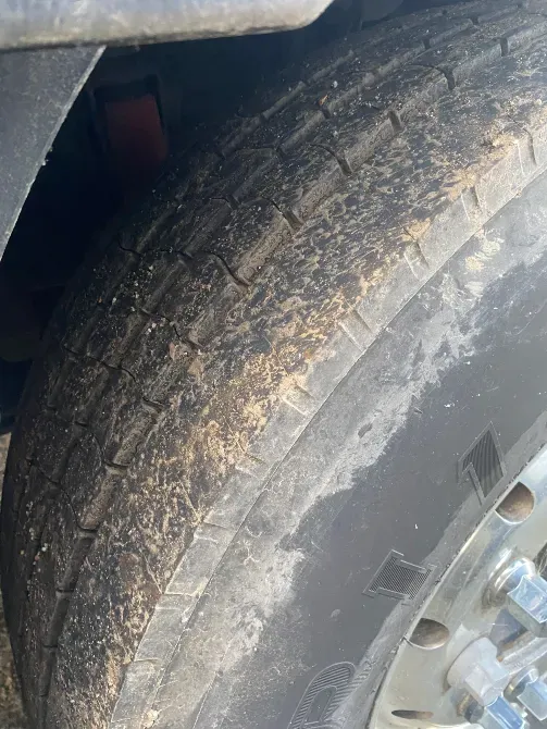 DAF XF 105 2009 Шепетівка - зображення 8