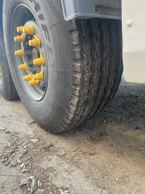 DAF XF 105 2009 Шепетівка - зображення 10