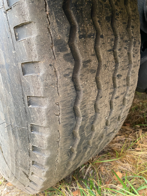 Robuste Kaiser 2006 Зміїв - зображення 2