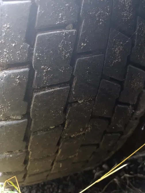 DAF 95 1995 Бровари - зображення 5