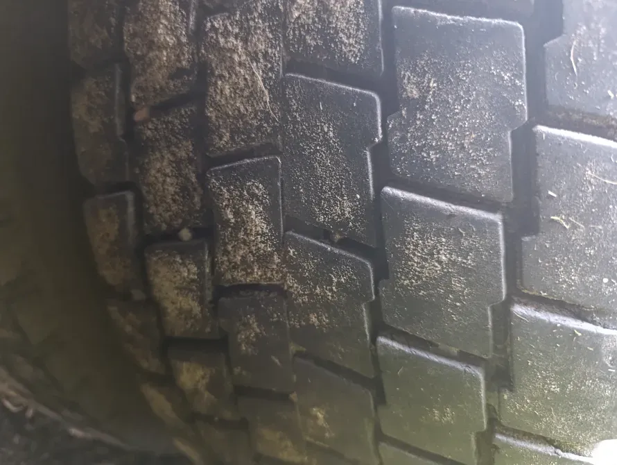 DAF 95 1995 Бровари - зображення 7