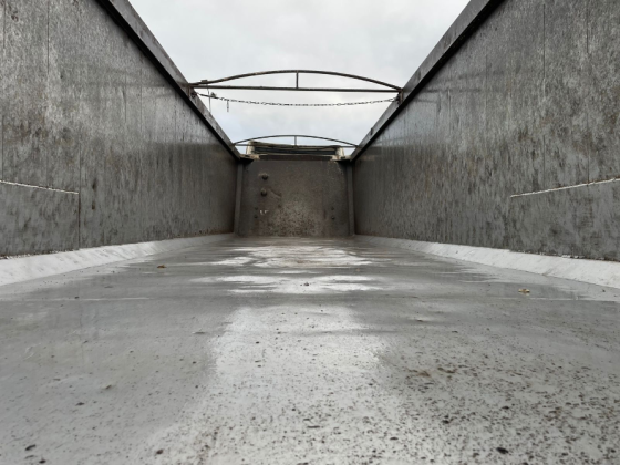 Janmil NW 2008 Ковель