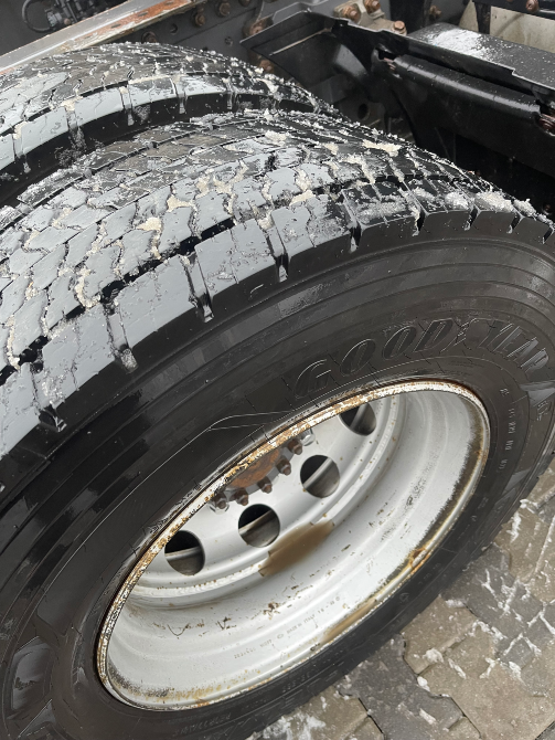 Renault Magnum 2011 Іршава - зображення 10