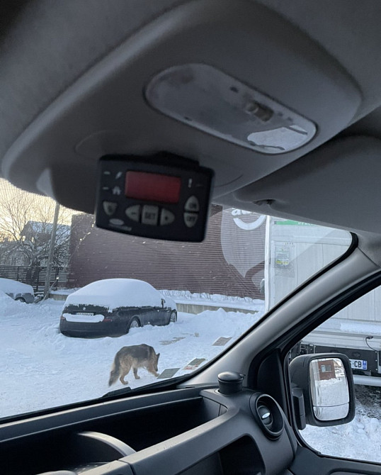 Renault Trafic 2020 Луцьк - зображення 20