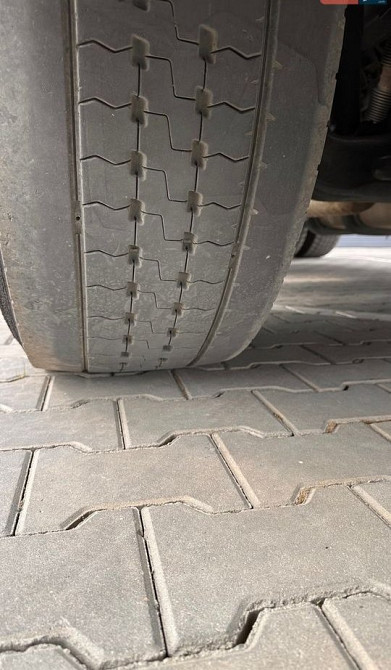 DAF XF 106 2018 Луцьк - зображення 13