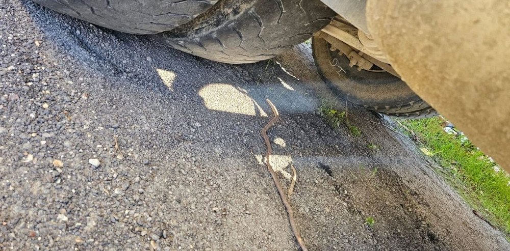 Renault Premium 2012 Луцьк - зображення 10