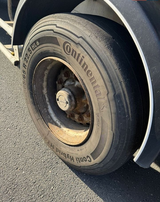 Benalu Benalu 2001 Вінниця - зображення 9