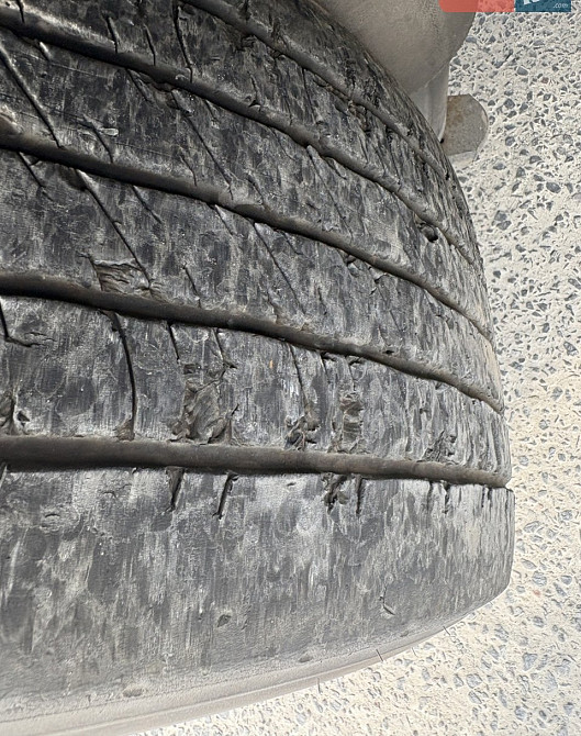 Schmitz Cargobull Cargobull 2018 Луцьк - зображення 12