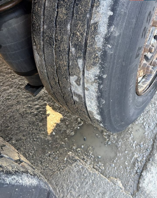 Schmitz Cargobull Cargobull 2015 Луцьк - зображення 16