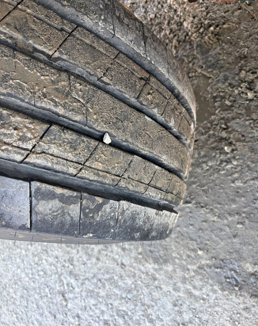 Schmitz Cargobull Cargobull 2015 Луцьк - зображення 15