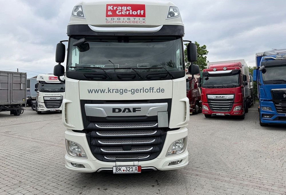 DAF 2022 Заліщики - зображення 2