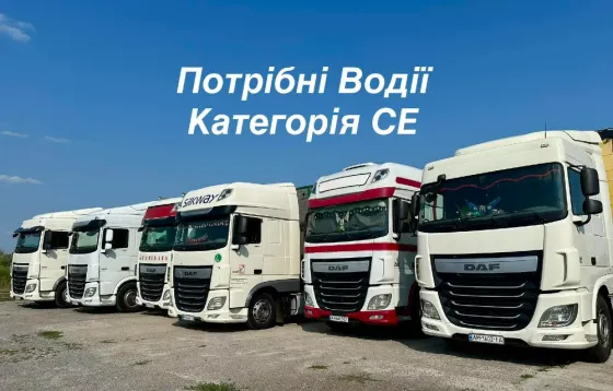 Водії CE на скотовози та рефи | Бердичів | Можливість Бронювання | DAF Euro 6 Бердичів